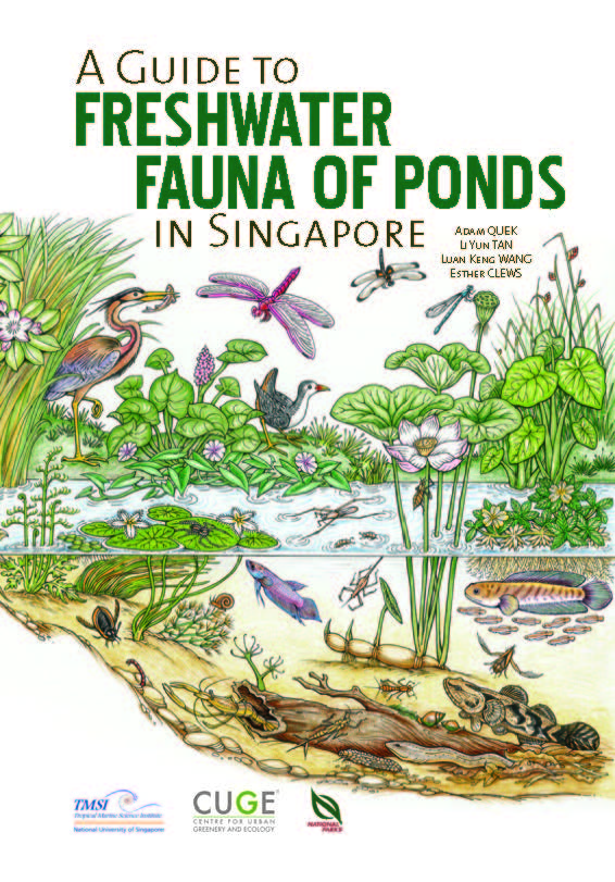 A Guide to Freshwater Fauna of Ponds in Singapore